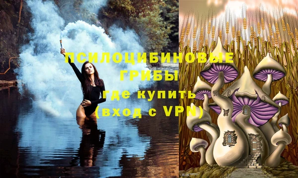 спайс Балахна