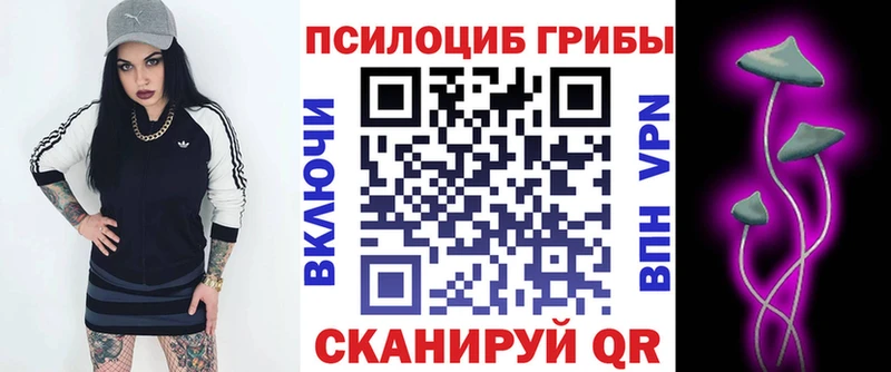 Купить закладки  Снежинск  Галлюциногенные грибы Psilocybe 