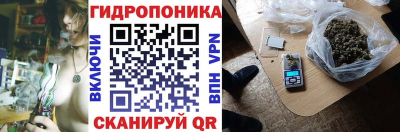 Купить где  Снежинск  МАРИХУАНА ГИДРОПОН 
